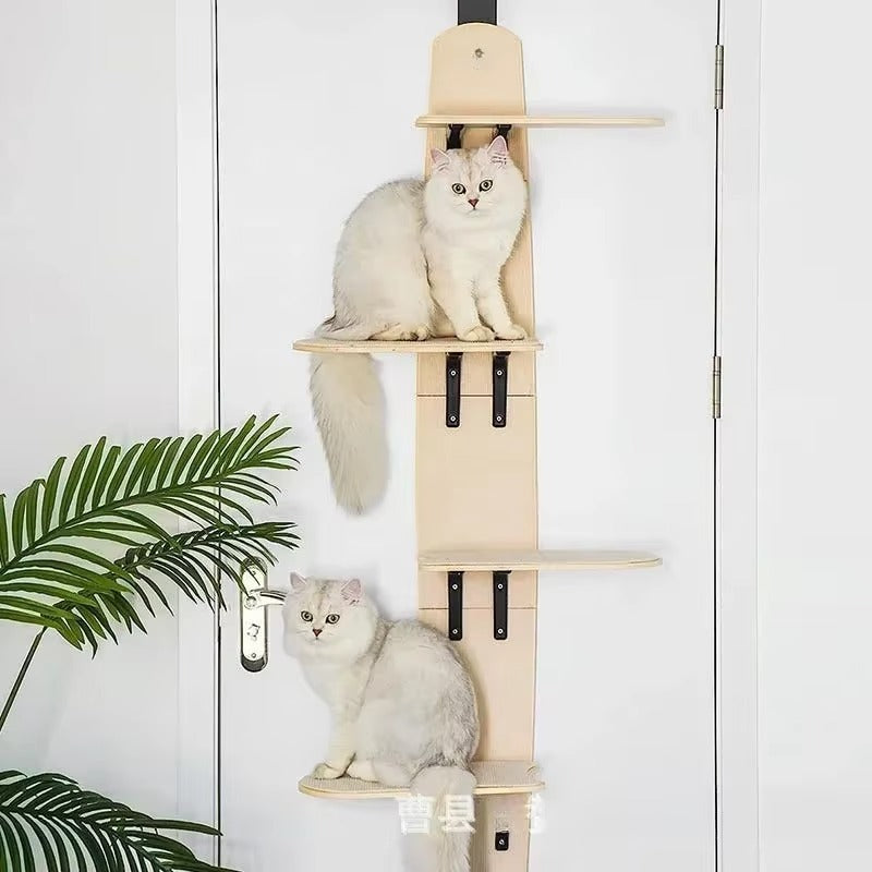 Wall Mounted Cat Shelves