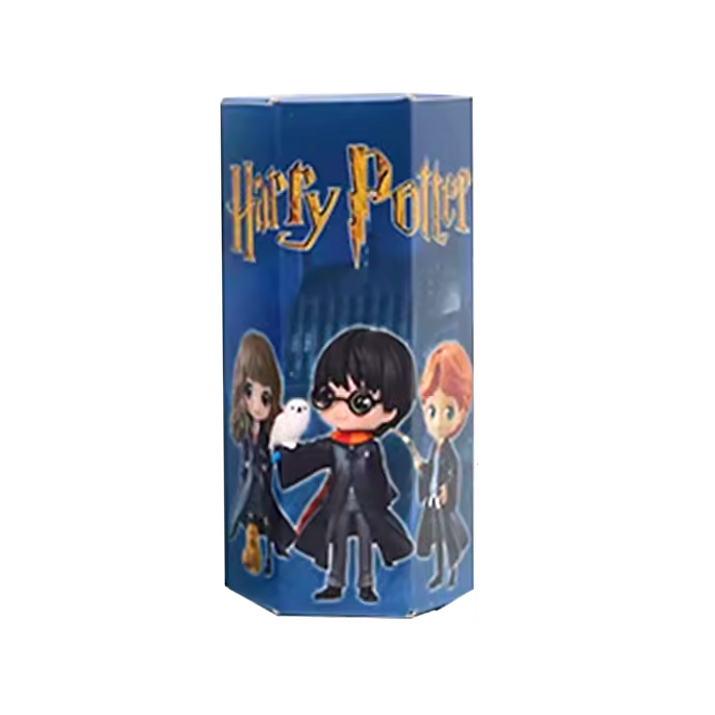 Harry Potter Mystery Box