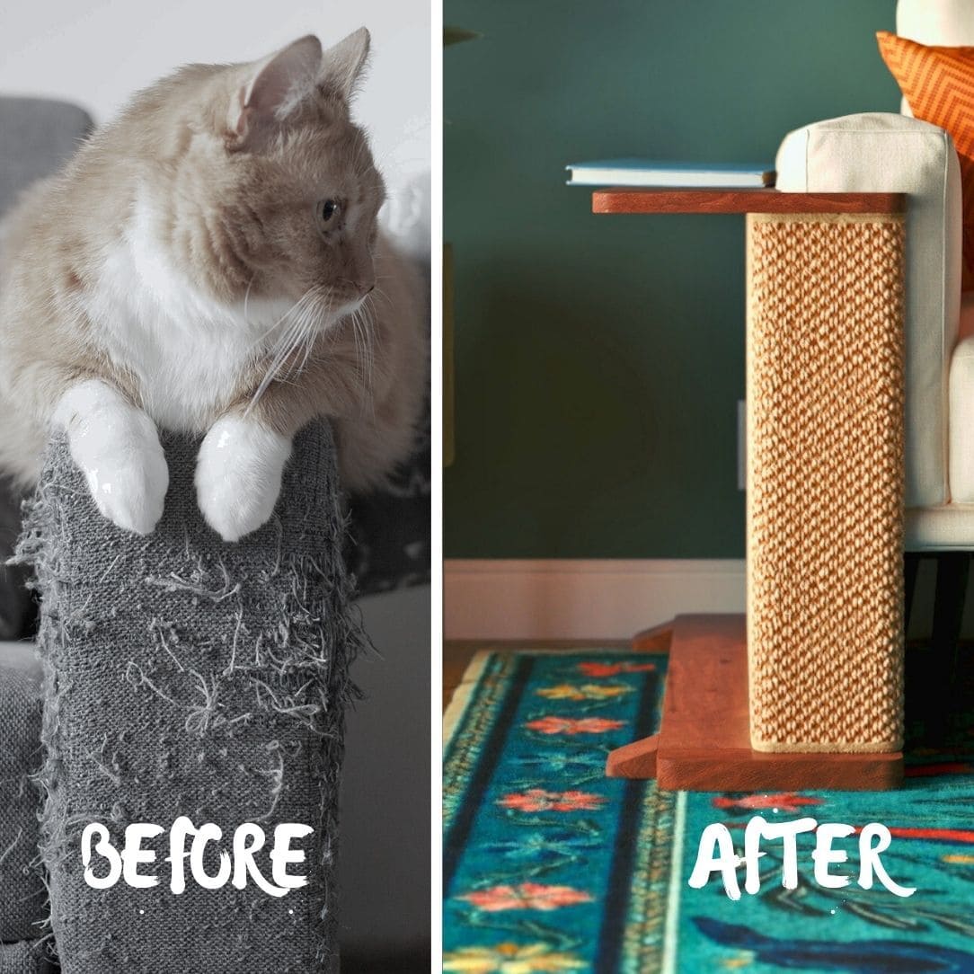 Corner End Table with Cat Scratch Panel