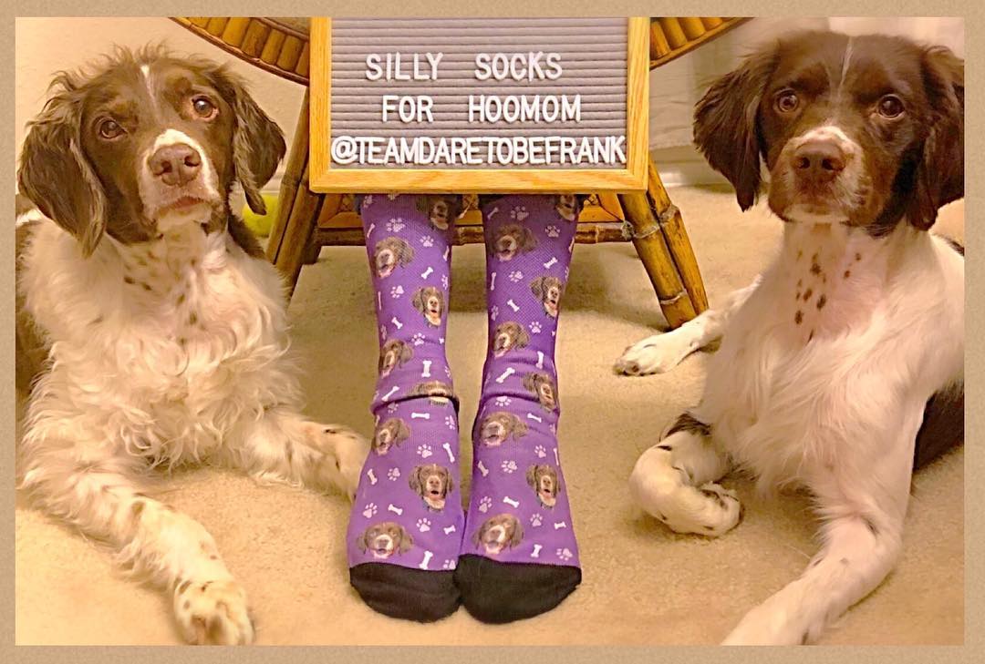 Custom Dog Socks