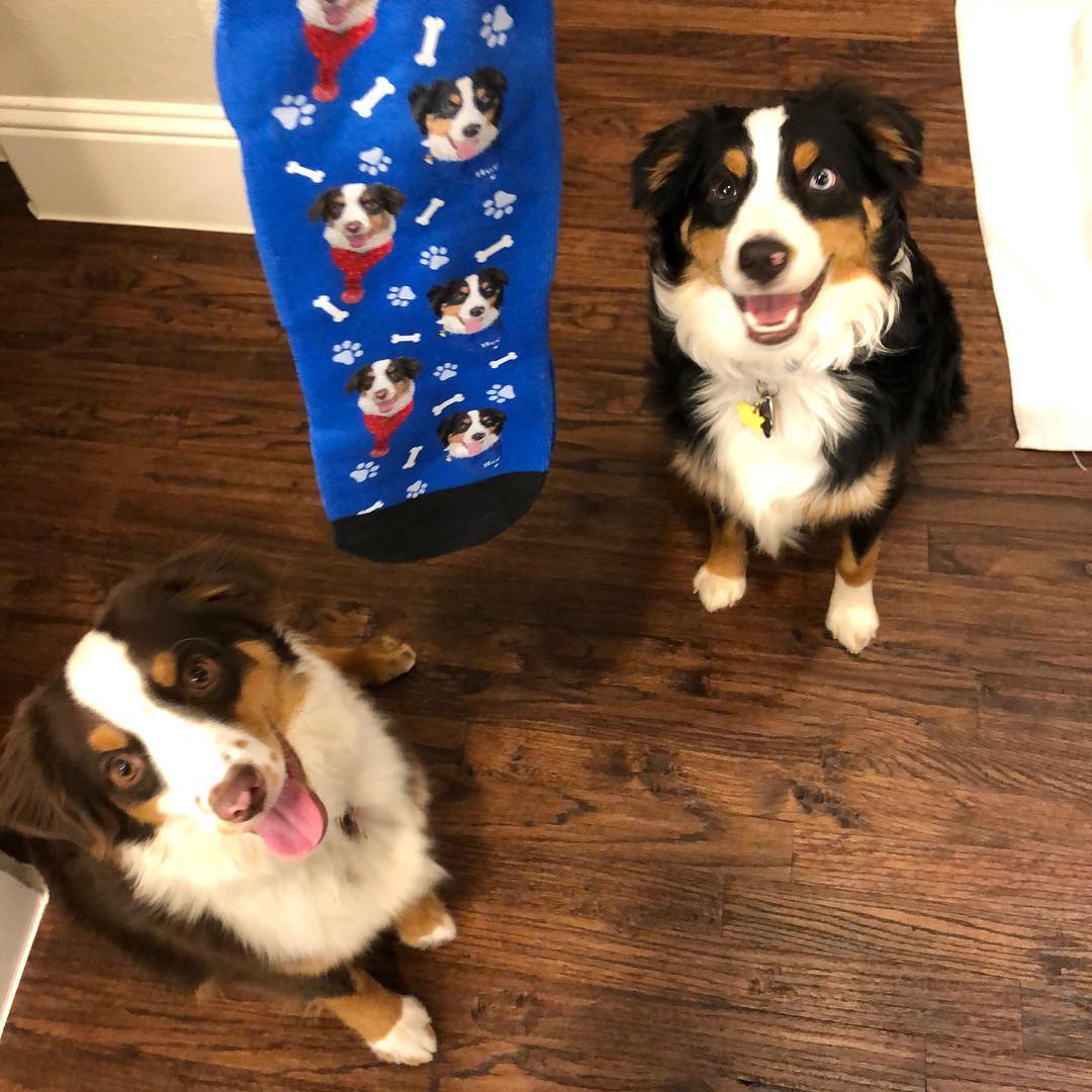 Custom Dog Socks