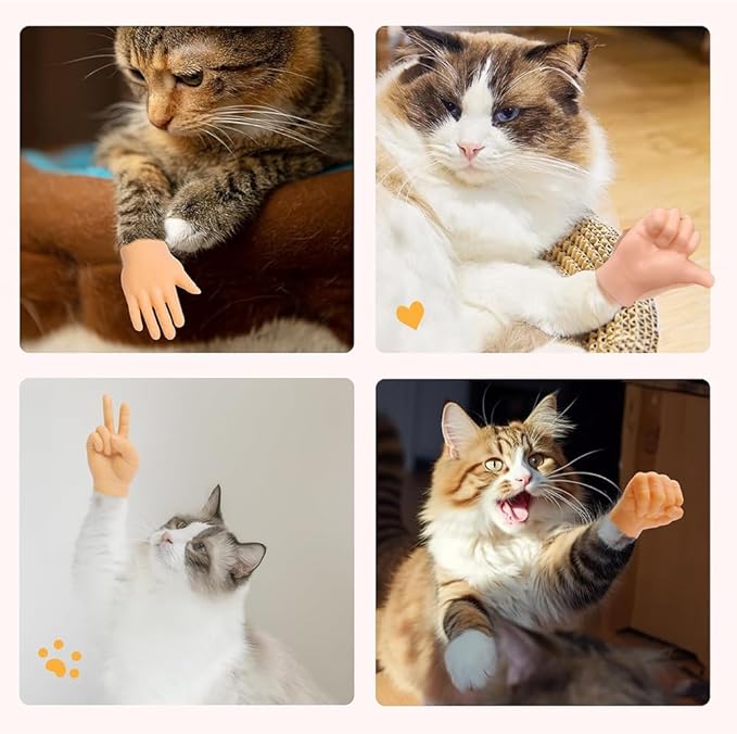 Cat Finger Interactive Toys