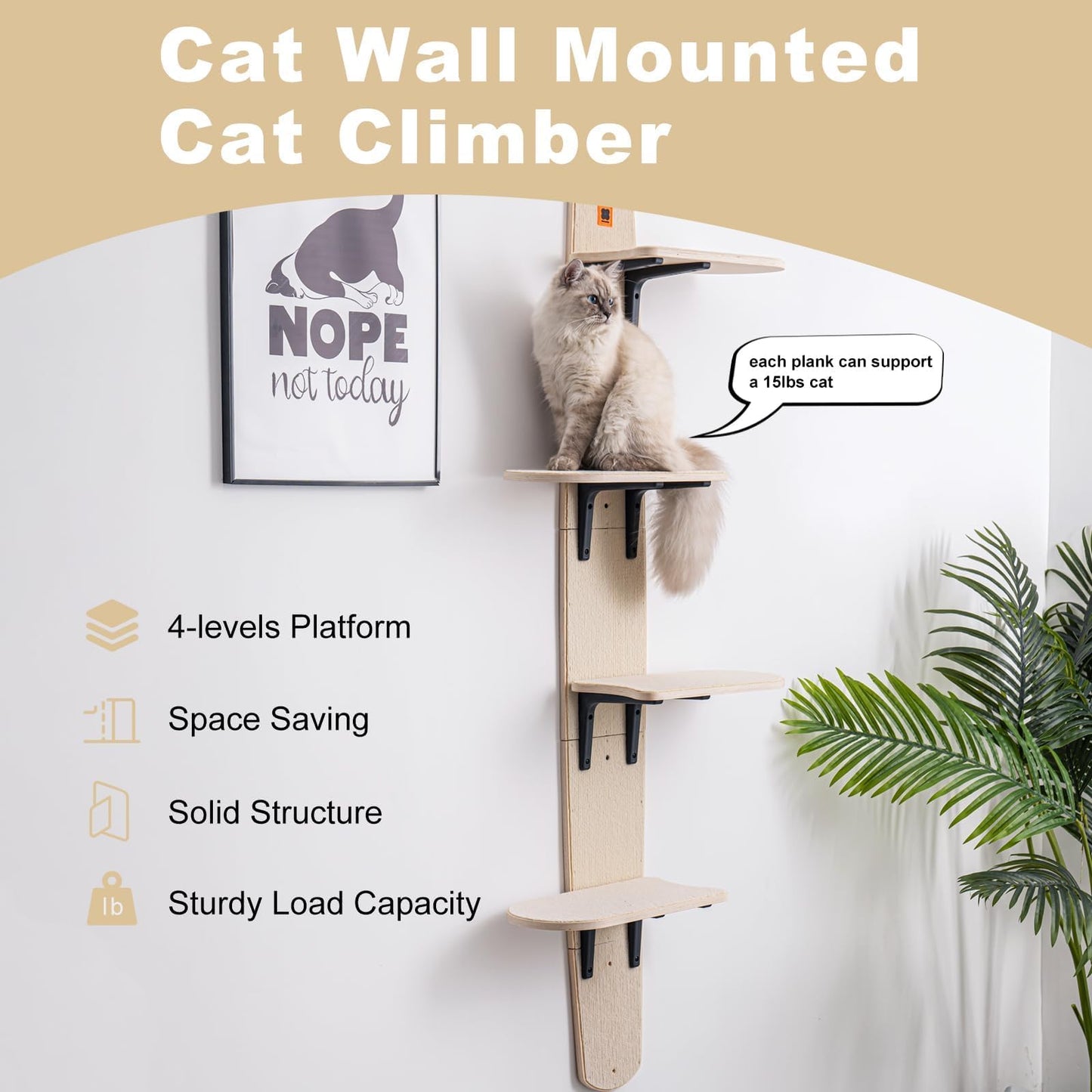 Wall Mounted Cat Shelves