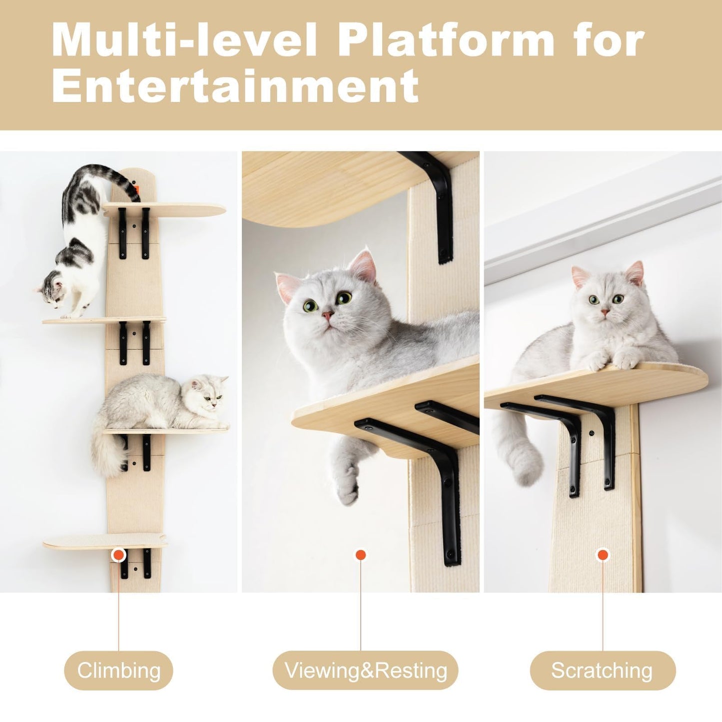 Wall Mounted Cat Shelves