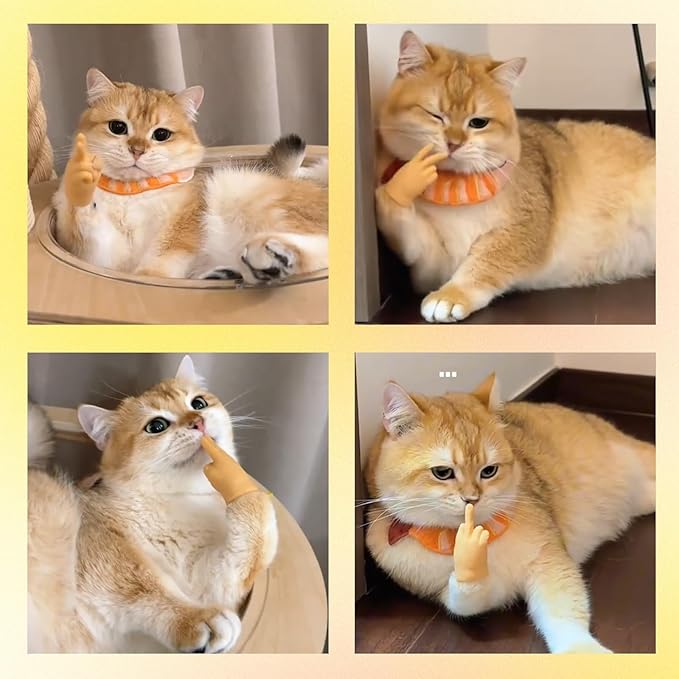 Cat Finger Interactive Toys