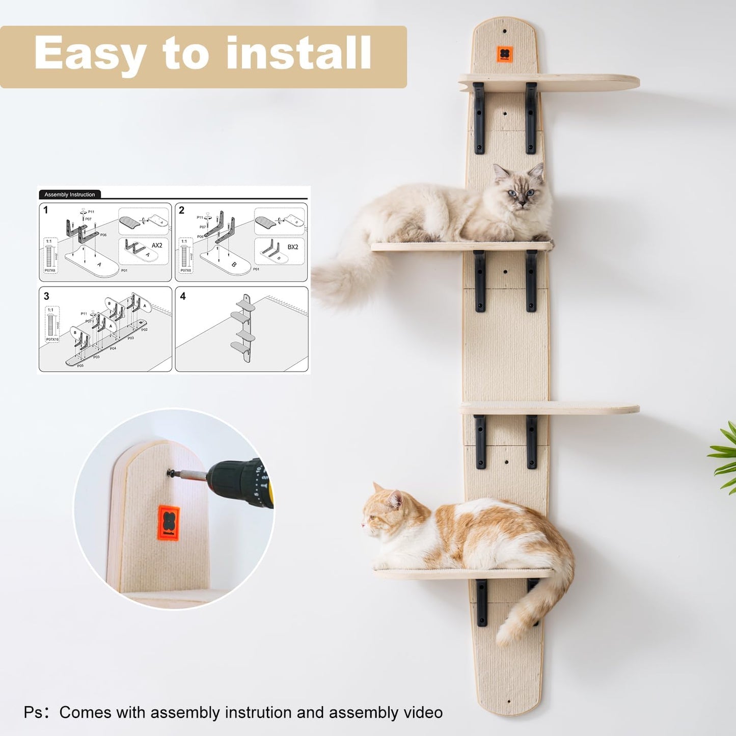 Wall Mounted Cat Shelves