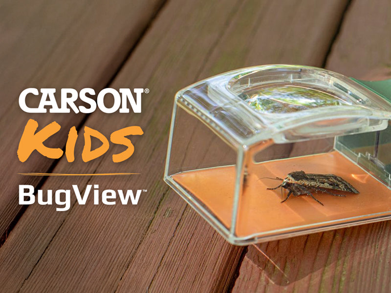 5x Magnifier Quick-Release Bug Catching Tool