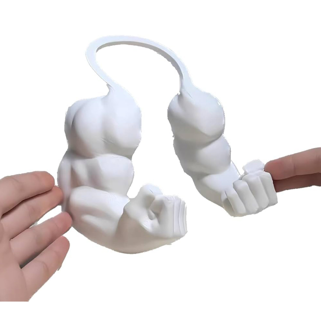 3D Cat Arms