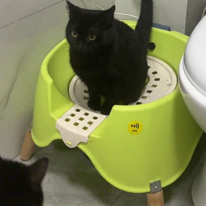 Luxury Auto-Flushing Cat Toilet