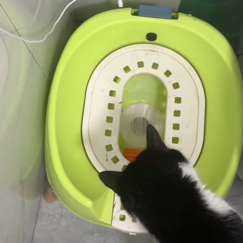 Luxury Auto-Flushing Cat Toilet