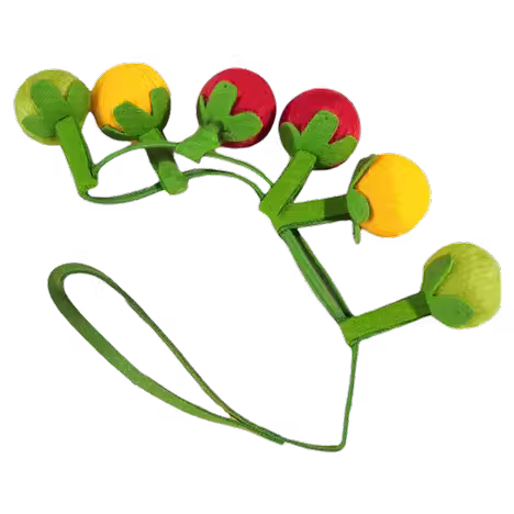 Cat toy cherry tomato and persimmon skewers tease