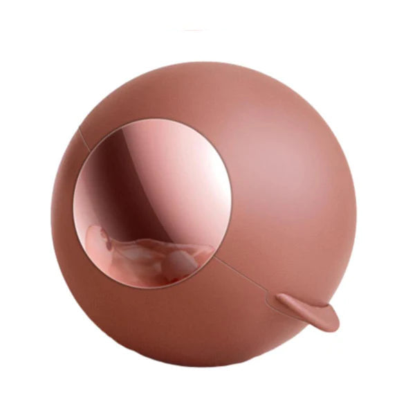 Re-Usable Lint Roller