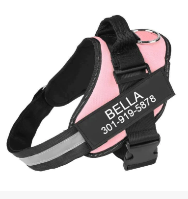 No Pull Dog Harness Pro