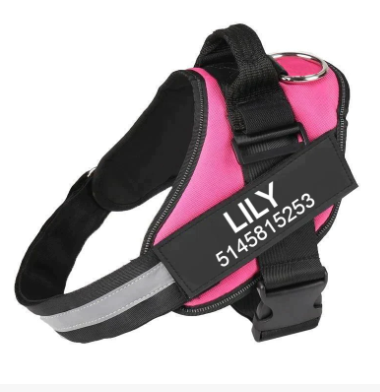 No Pull Dog Harness Pro