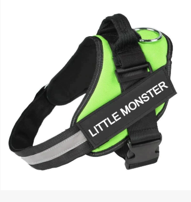 No Pull Dog Harness Pro