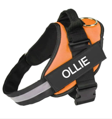 No Pull Dog Harness Pro