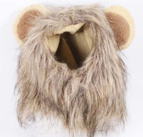 Lion Costume