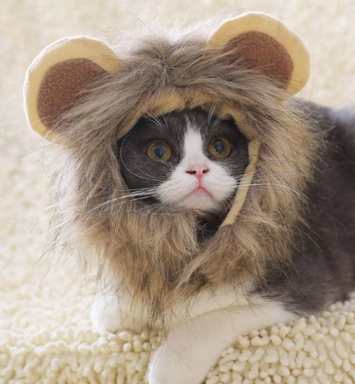 Lion Costume