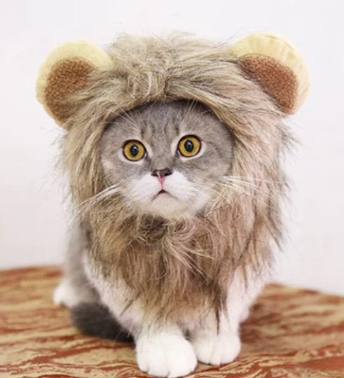 Lion Costume