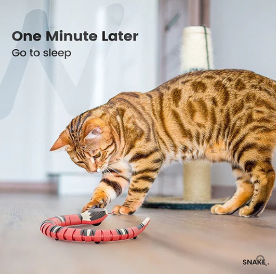 SmartSerpent Cat Toy