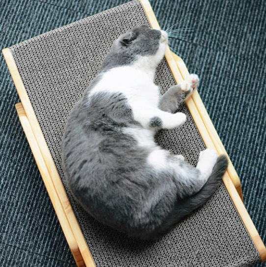 3-in-1 Wooden Detachable Lounge Bed