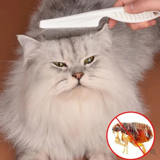Cat Hair Loss and Flea Comb
