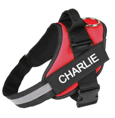 No Pull Dog Harness Pro