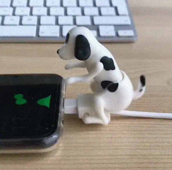 Funny Dog Fast Charger