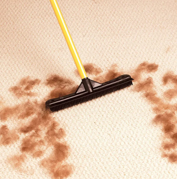 Pet Hair Removal Broom