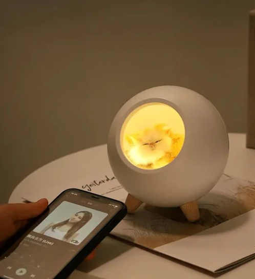 napping cat lamp