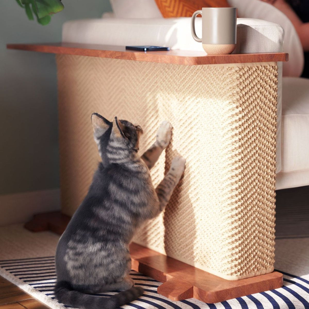 Corner End Table with Cat Scratch Panel