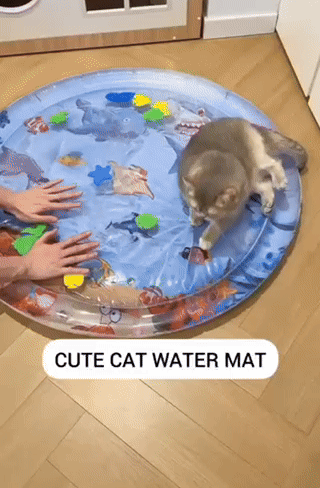 Water Filled Cat Bed with Sea Creatures