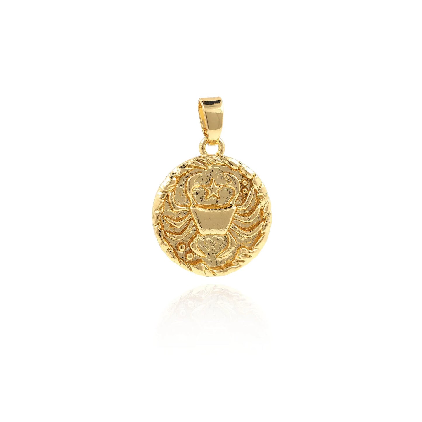 Zodiac Charm