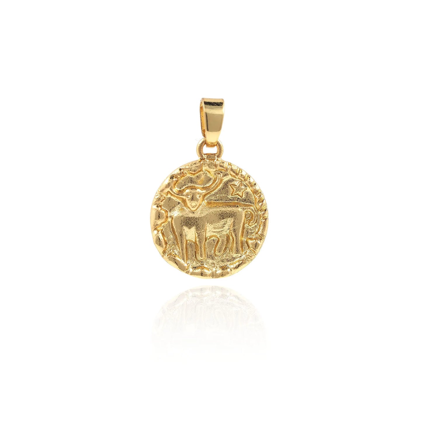 Zodiac Charm