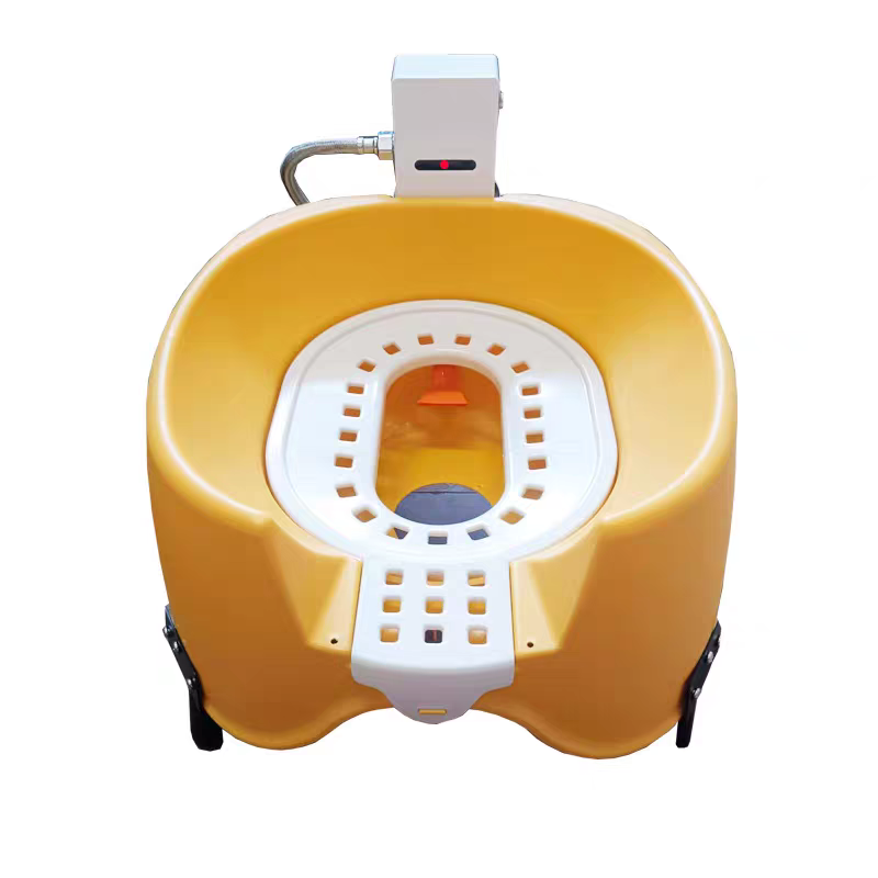 Luxury Auto-Flushing Cat Toilet