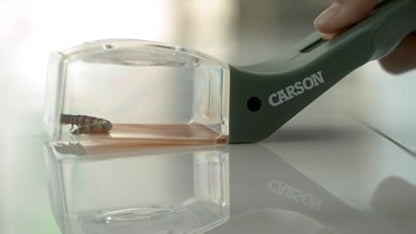 5x Magnifier Quick-Release Bug Catching Tool