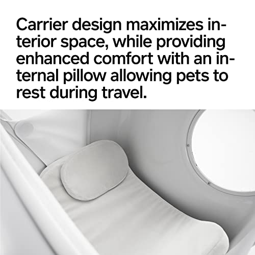 Cat Ventilated Suitcase Trolley