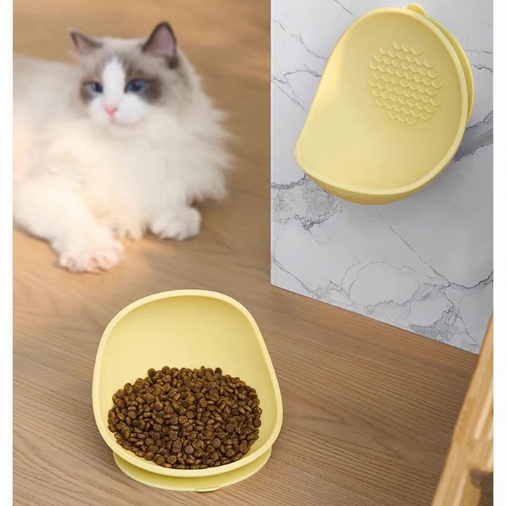 Non-Slip Silicone Pet Bowl