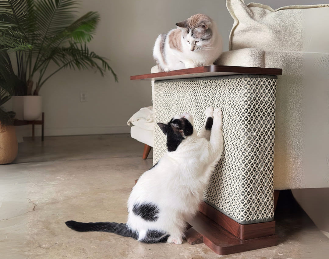 Corner End Table with Cat Scratch Panel