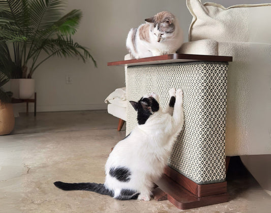 Corner End Table with Cat Scratch Panel