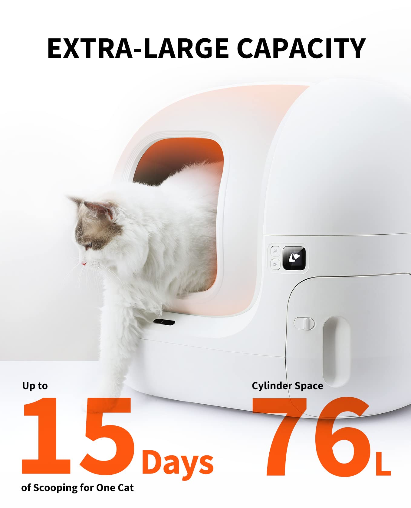 Automatic Self-Cleaning Litter Box