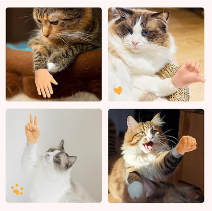 Cat Finger Interactive Toys