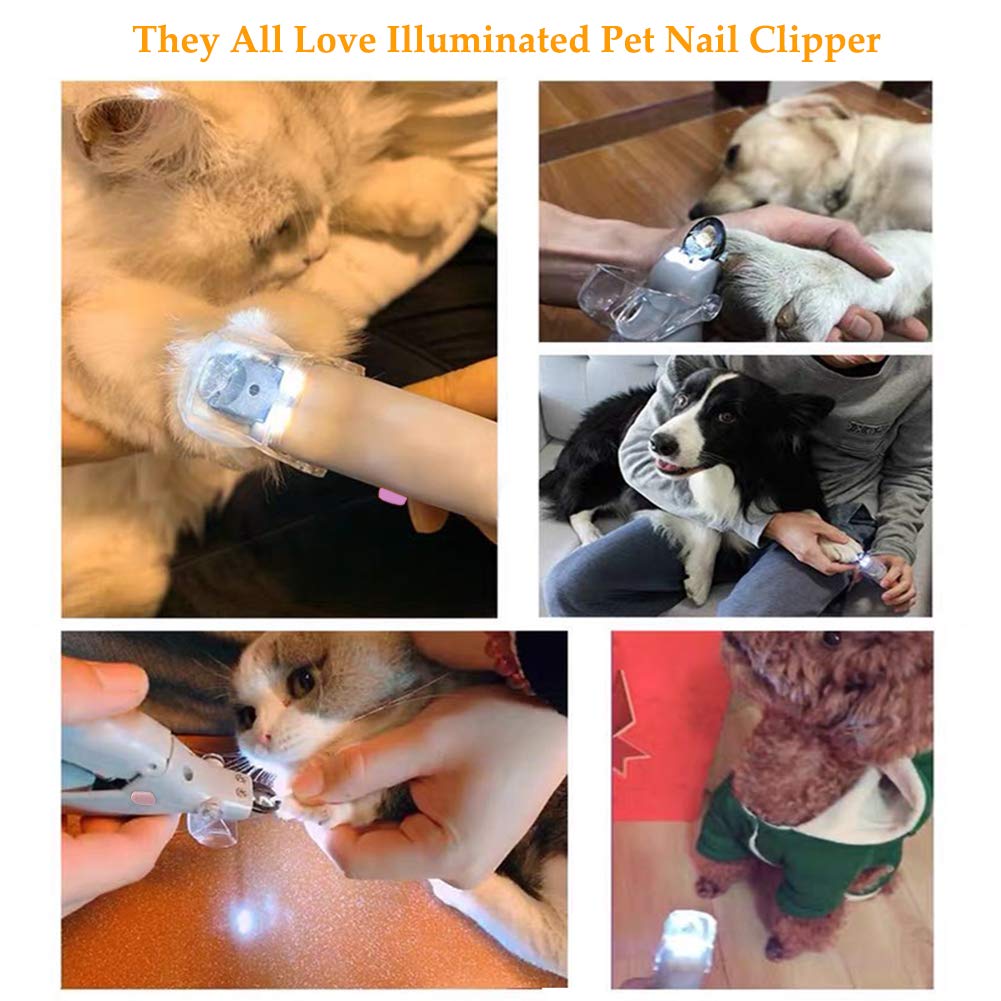 Safe Pet Nail Cutter with Light & Magnifier