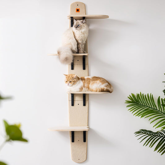 Wall Mounted Cat Shelves