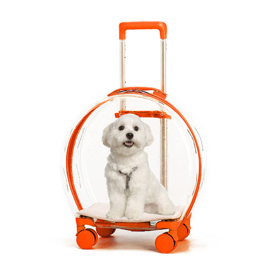 Cat Rolling Trolley