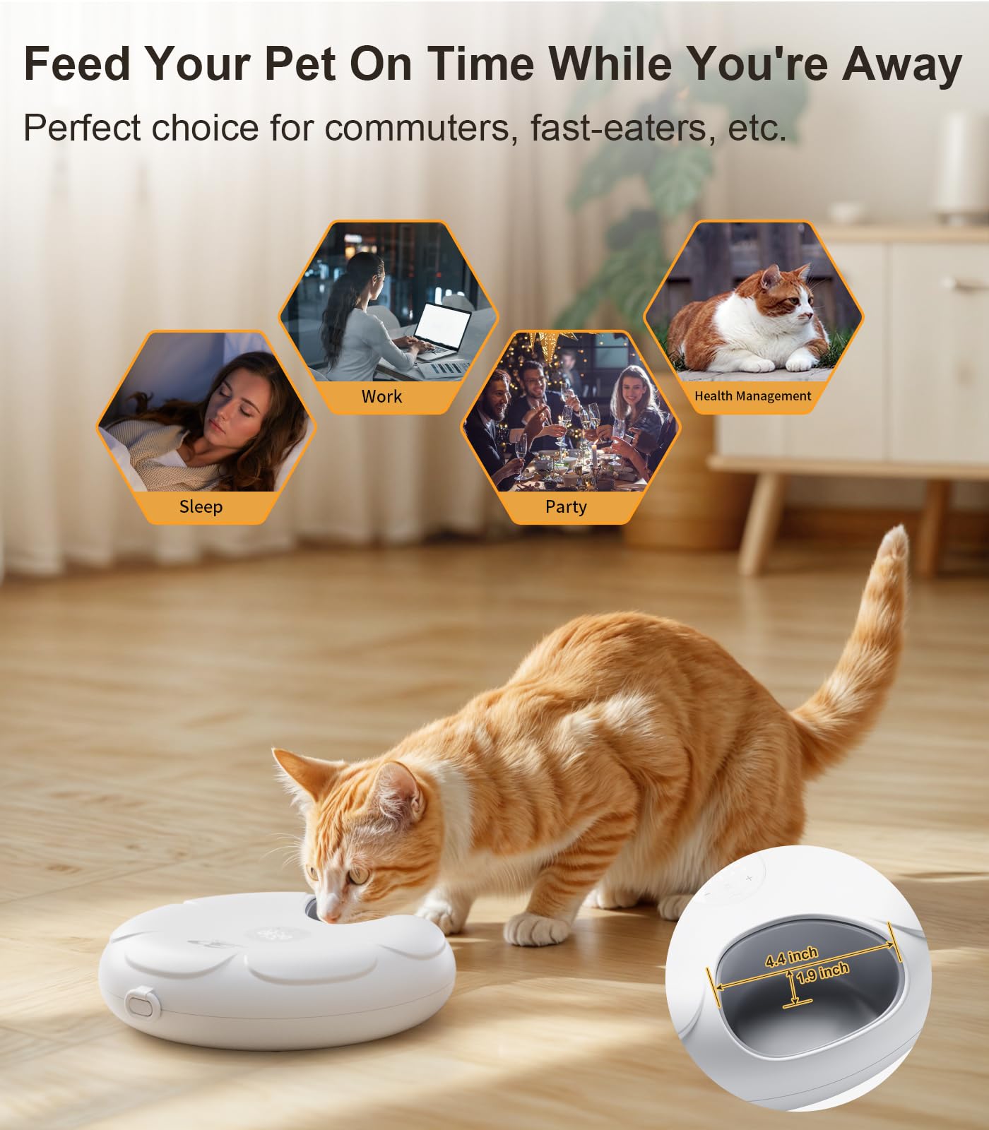 Cordless Automatic Food Dispenser