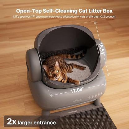 The Litter Box That Cleans Itself