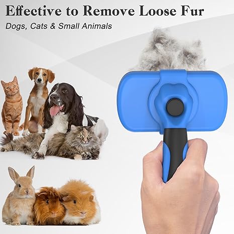 Cat Brush