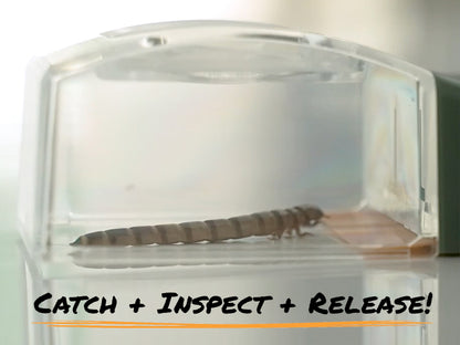5x Magnifier Quick-Release Bug Catching Tool
