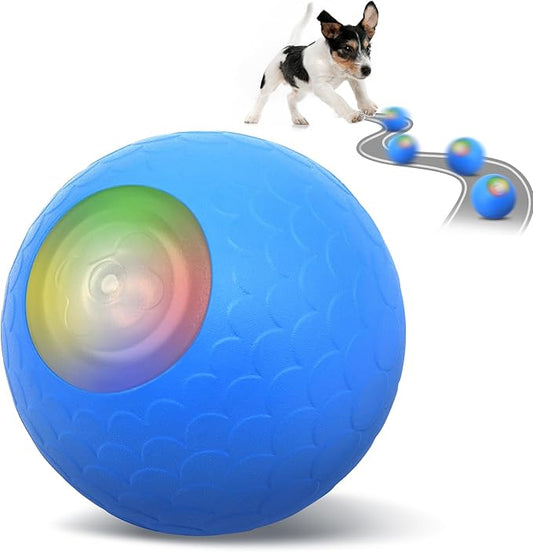 Active Rolling Ball for Dogs